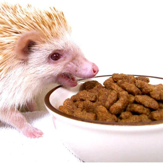 Alimento de erizo 600 gr – Spike